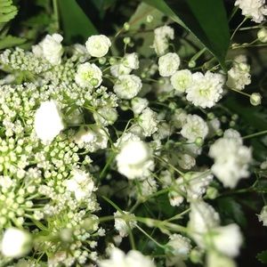 Meet your Posher, Savy